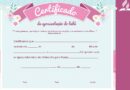 certificado de apresentação do bebê – secretaria de igrejas
